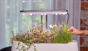 grow kit with planter and light