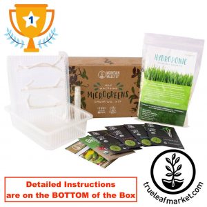 Self-watering microgreens starter kit from True Leaf Market