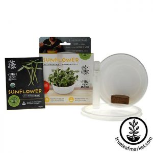 Mini Microgreens Kit from True Leaf Market